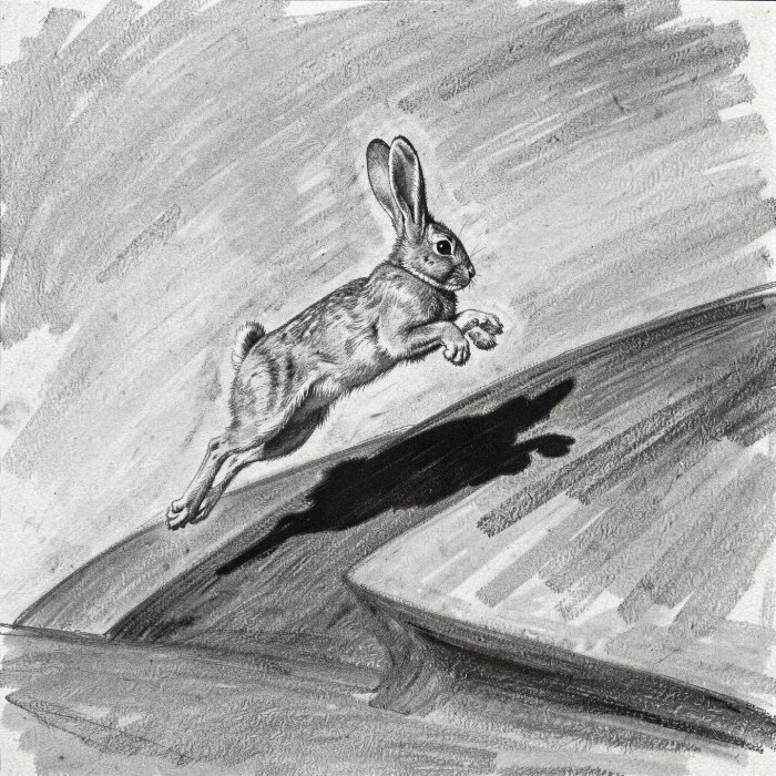 Desert Leap
