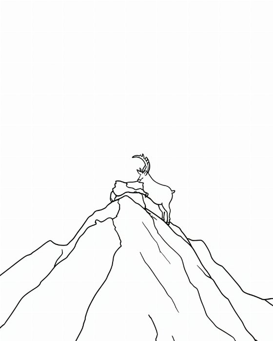 Mountain Goat