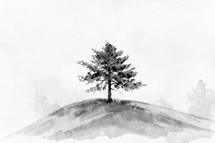 Pine Slope