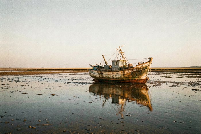 Tidal Rest II