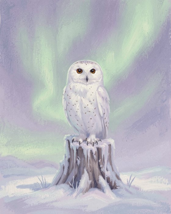 Aurora Owl