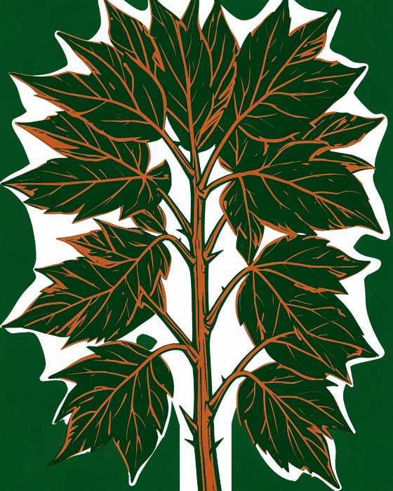 Salmonberry