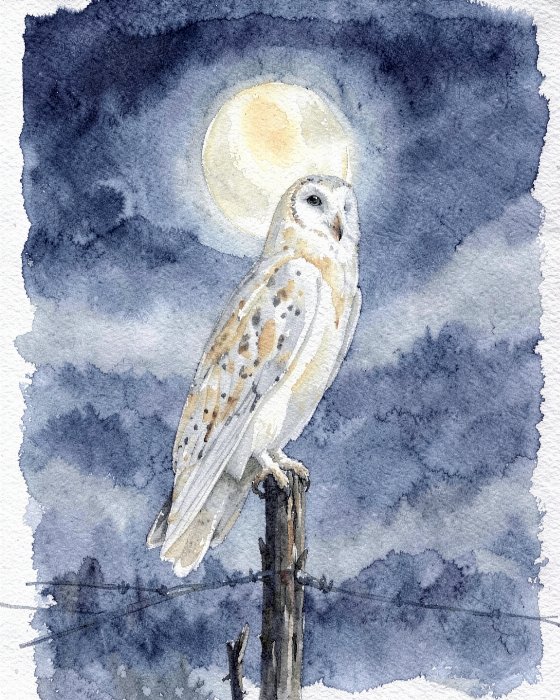 Moon Watcher II