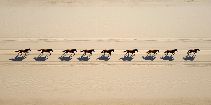 Desert Drift II