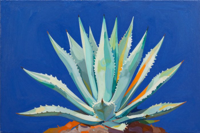 Agave Bold