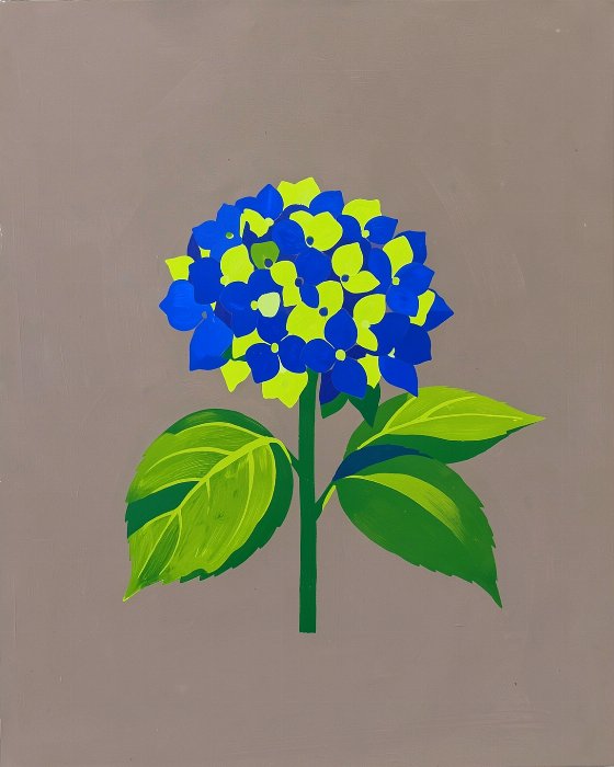 Lime Hydrangea