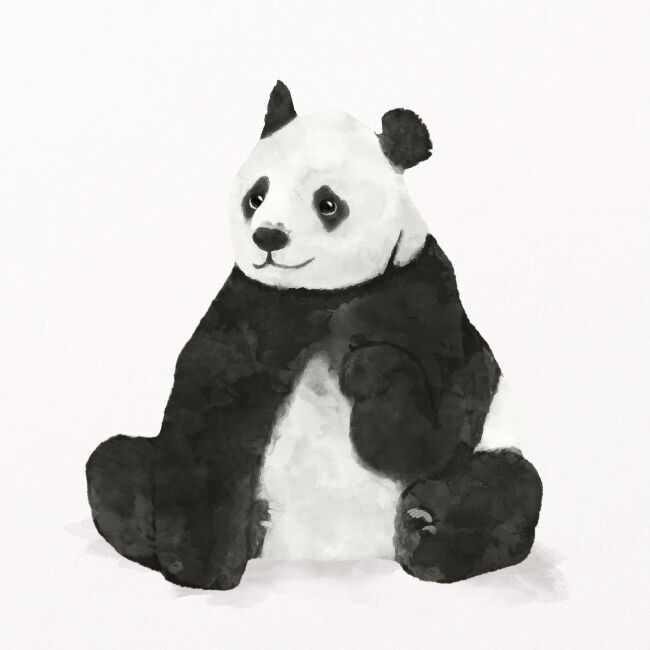 Panda watercolor illustration