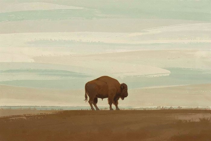 Plains Bison II