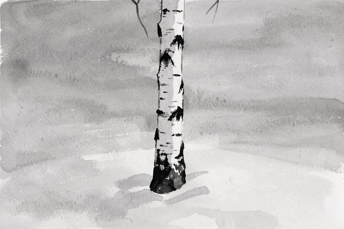 Aspen Still