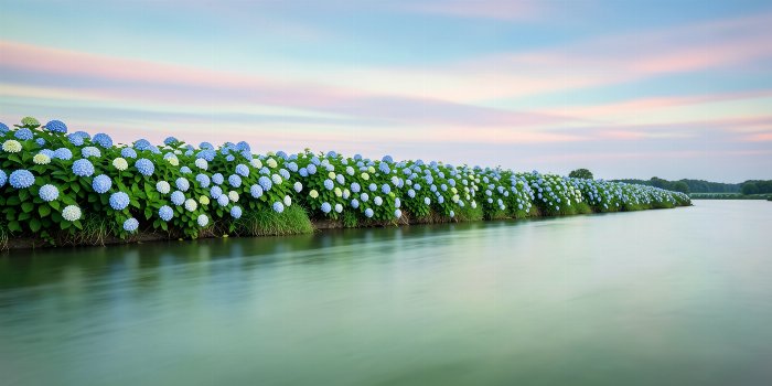 River Bloom