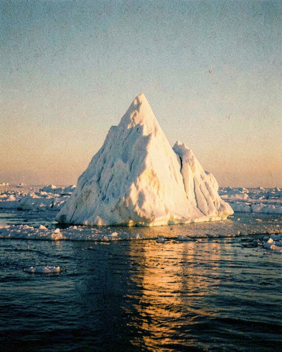 Amber Ice II