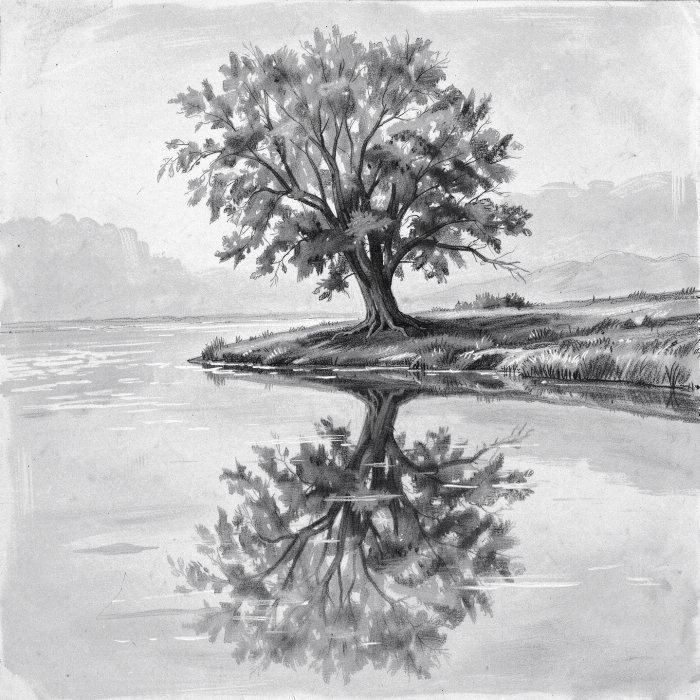 Still Reflection