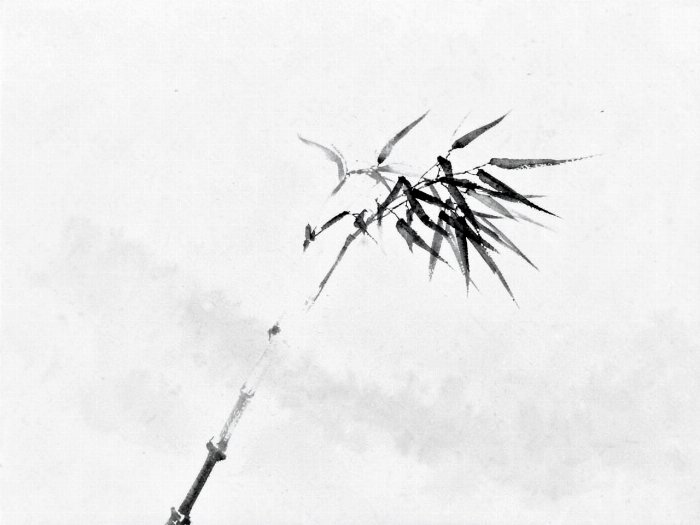 Ink Stalk II
