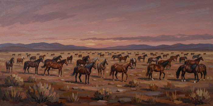 Dusk Herd