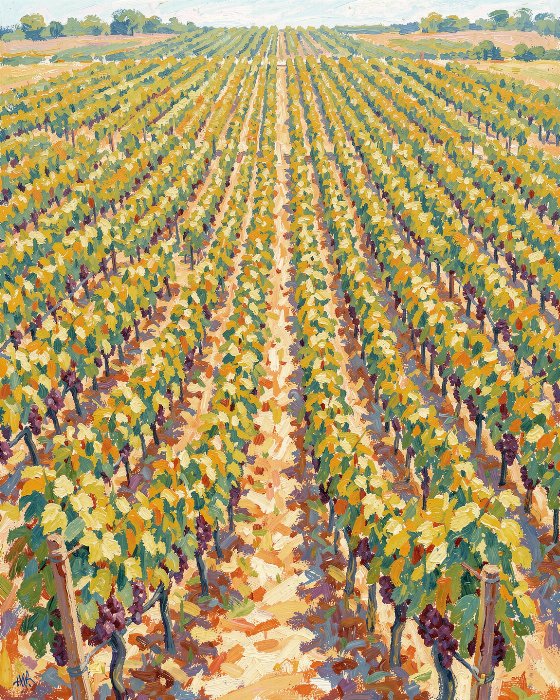 Vineyard Path