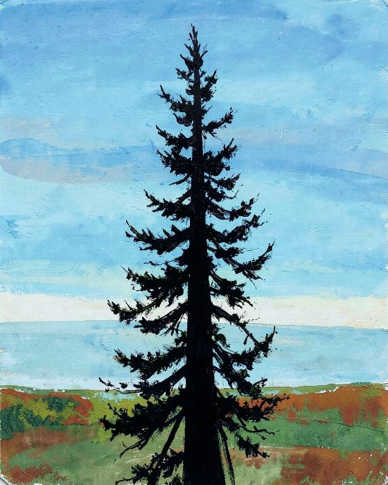 Northern Pine