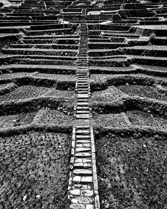 Terrace Ascent