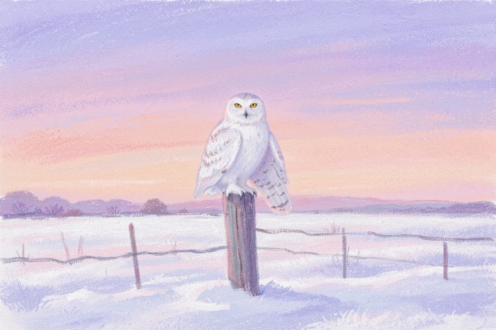 Dusk Sentinel