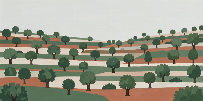 Olive Terraces