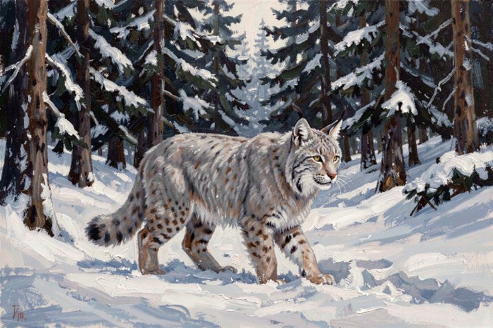 Winter Lynx