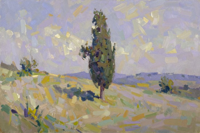 Sunlit Cypress