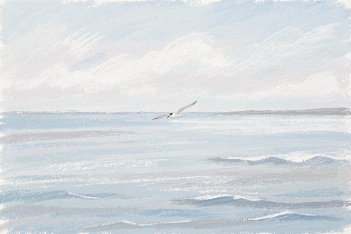 Tern Drift