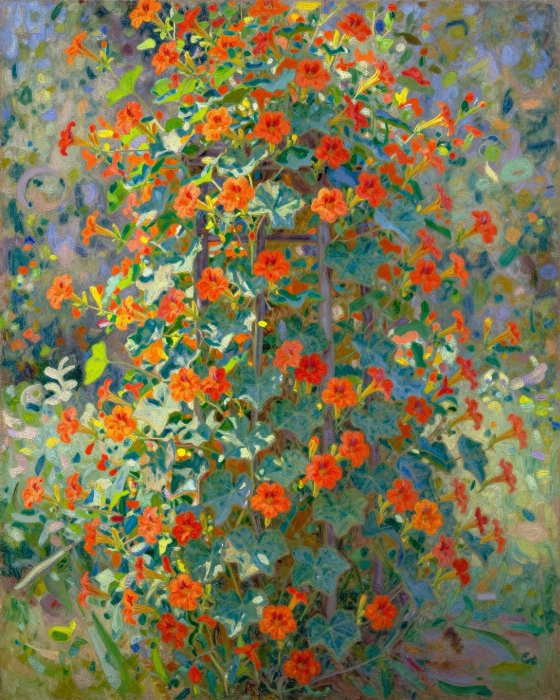 Nasturtium Trellis