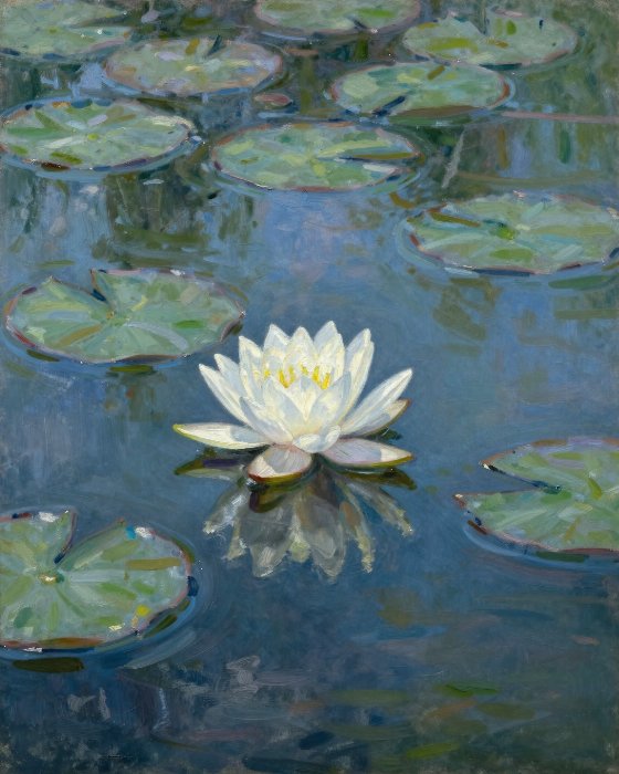 Luminous Lily