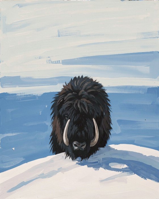 Muskox Rise