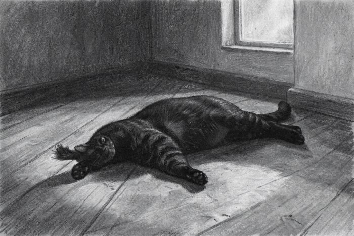 Midnight Stretch