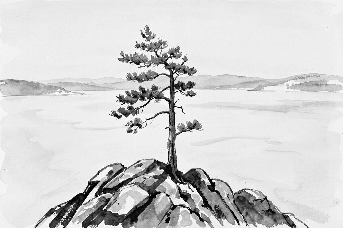 Frozen Pine