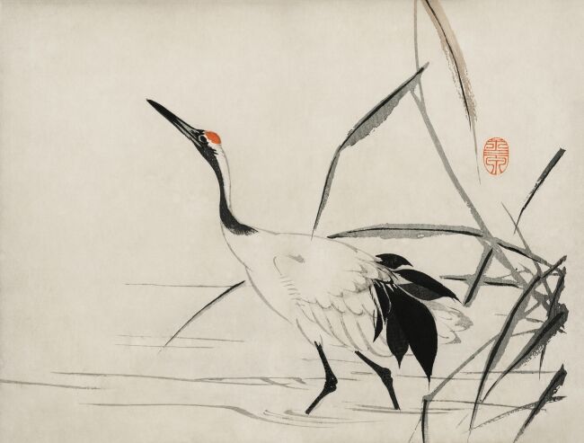 The ukiyo-e illustration of a Japanese crane
