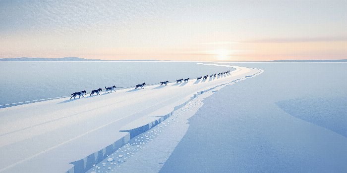 Arctic Ribbon