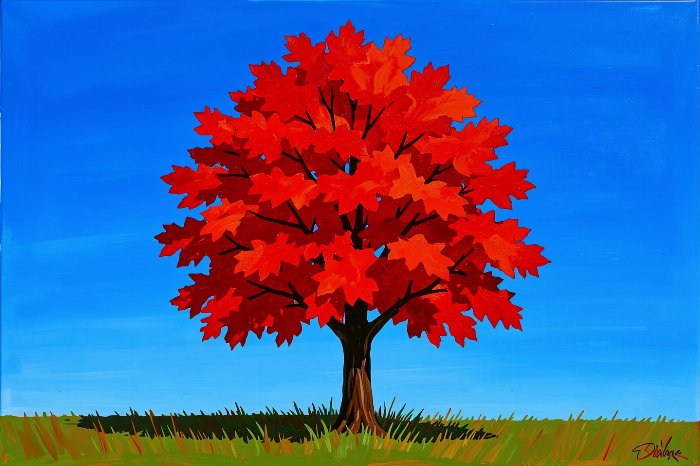 Autumn Maple