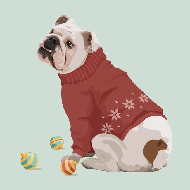 Christmas dog English Bulldog
