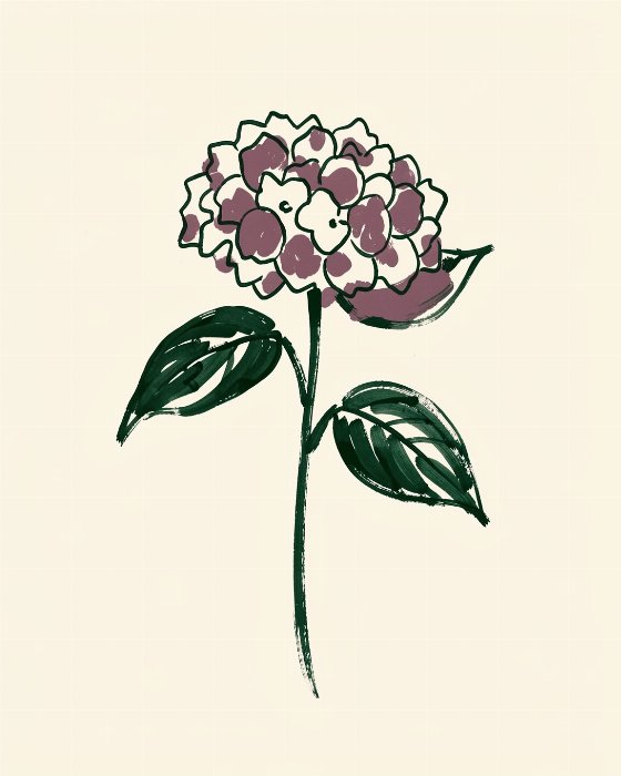 Hydrangea Stem