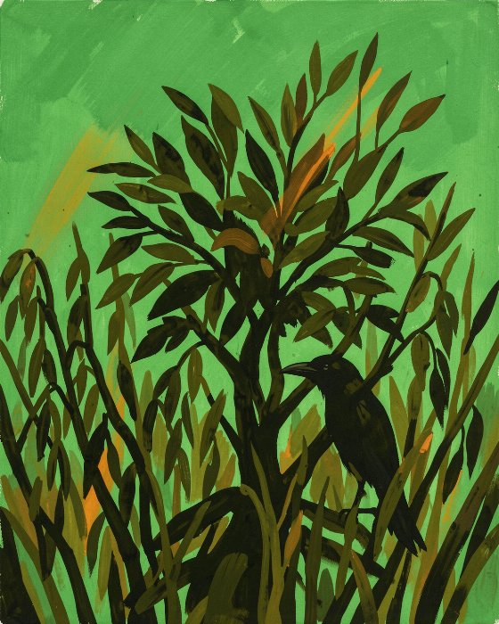 Raven Thicket