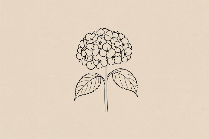 Hydrangea Ink