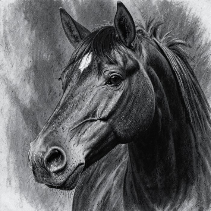 Equine Study