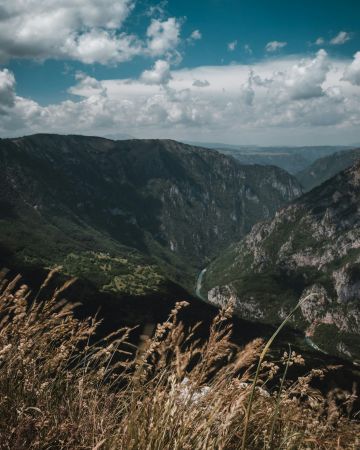 Rhythmic Ravine Vista