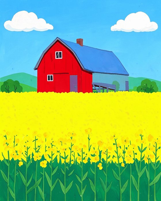 Canola Farm