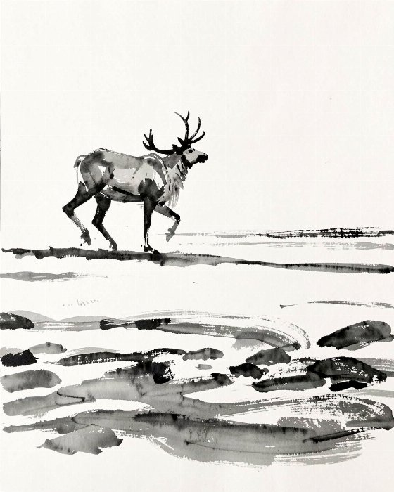 Caribou Ford