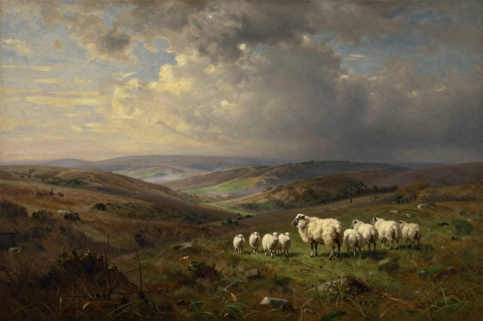 Moorland Light