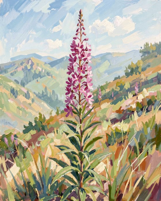 Fireweed Rise