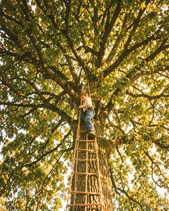 Tree Bound II