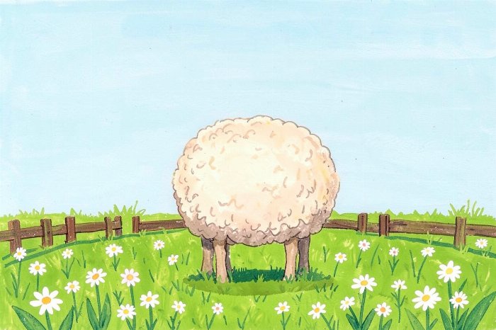 Round Ewe