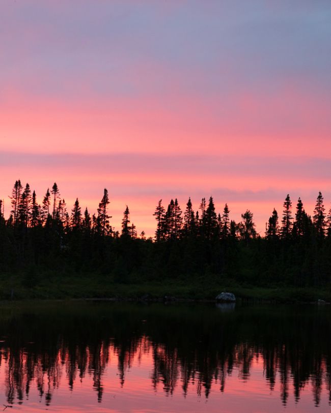 Cabin Life North Shore