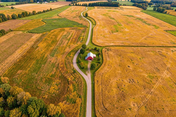 Patchwork Road