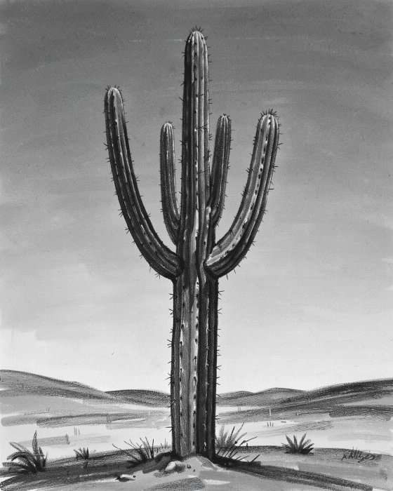 Charcoal Cactus