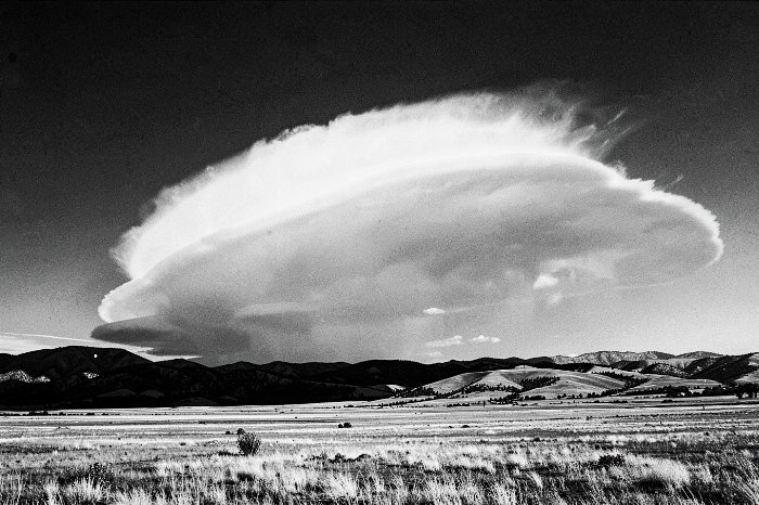 Chinook Arch